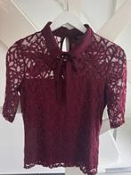 chemisier bordeaux avec dentelle Morgan L new, Vêtements | Femmes, Morgan, Enlèvement ou Envoi, Neuf, Taille 42/44 (L)