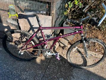 Djerba probike beschikbaar voor biedingen