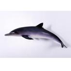 Dolphin – Dolfijn beeld Lengte 79 cm, Nieuw, Ophalen