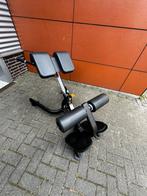 Matrix Lower Back Bench, Sport en Fitness, Ophalen, Gebruikt, Rug, Overige typen