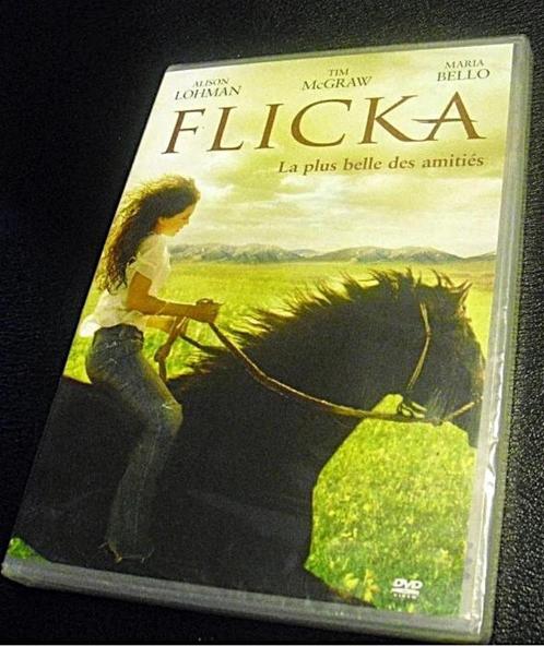 DVD pour enfants...Flicka...Les aventures de Prince Noir, Cd's en Dvd's, Dvd's | Kinderen en Jeugd, Nieuw in verpakking, Ophalen of Verzenden
