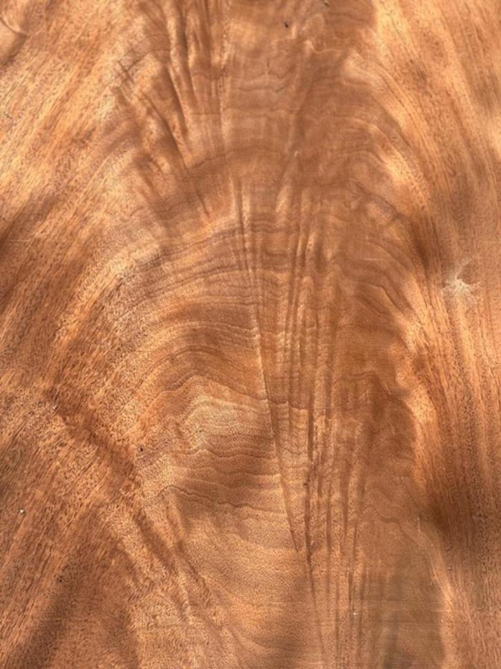 FINEER, Doe-het-zelf en Bouw, Hout en Planken, Nieuw, Overige typen, Overige houtsoorten, 200 tot 250 cm, Minder dan 25 mm, Ophalen
