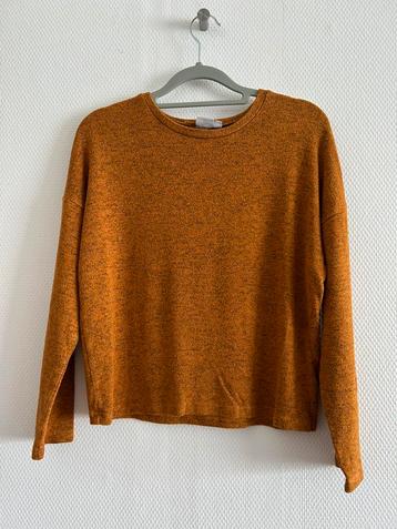 Bruine trui Name it maat 146-152, Kinderen en Baby's, Kinderkleding | Maat 146, Meisje, Trui of Vest, Name it, Ophalen of Verzenden