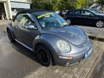 Volkswagen New Beetle 2.0, Cuir, Achat, Entreprise, Cabriolet