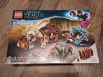 Lego Fantastic beasts 75952, Enlèvement, Comme neuf, Ensemble complet, Lego