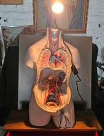 self made lamp in torso, Huis en Inrichting, Ophalen, Zo goed als nieuw