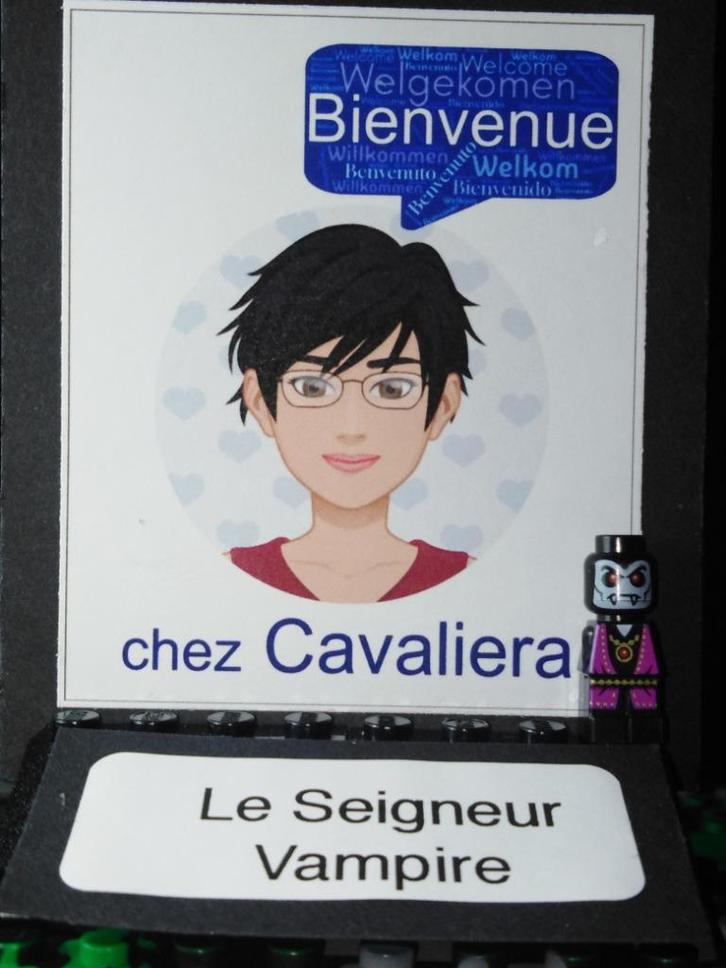 Lego microfiguur - Heroica Vampire Lord - Lego Games, Kinderen en Baby's, Speelgoed | Duplo en Lego, Zo goed als nieuw, Lego, Losse stenen