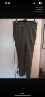 Paardrijbroek, Dieren en Toebehoren, Nieuw, Dames, Recreatie, Onderkleding