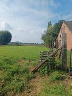 Bouwgrond te Herne