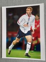 31 getekende foto's  van voetbalinternationals, Enlèvement ou Envoi, Comme neuf, Cartes de joueur