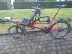 TANDEM HASE PINO, Fietsen en Brommers, Zo goed als nieuw, 53 tot 57 cm, Ophalen, Overige merken