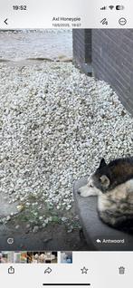 +1kuub witte ronde steentjes, Tuin en Terras, Ophalen, Gebruikt