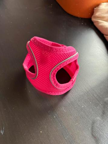 Honden riem beschikbaar voor biedingen