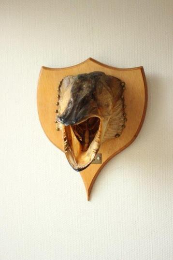Taxidermie opgezette kop vis Snoek beschikbaar voor biedingen