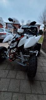 Quad triton 450r (a redémarrer), Motoren