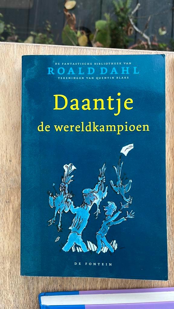 Roald Dahl - Daantje, de wereldkampioen, Boeken, Kinderboeken | Jeugd | onder 10 jaar, Ophalen