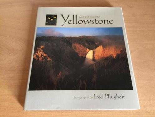 3=2 ACTIE Yellowstone Wild and Beautiful, Livres, Nature, Neuf, Envoi