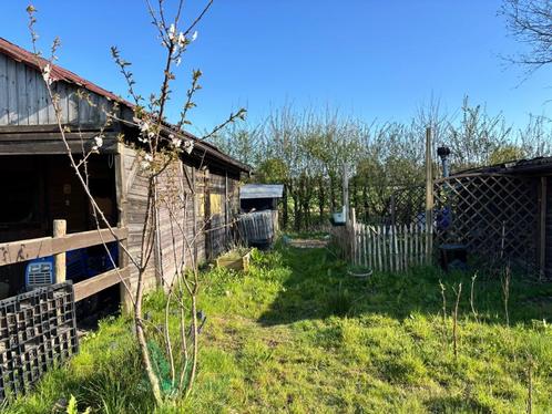 weide met stal en buitenpiste te koop In Humbeek, Grimbergen, Dieren en Toebehoren, Stalling en Weidegang