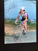 poster wielerkaart  1980 team gis colnago giuseppe saronni, Verzenden, Gebruikt