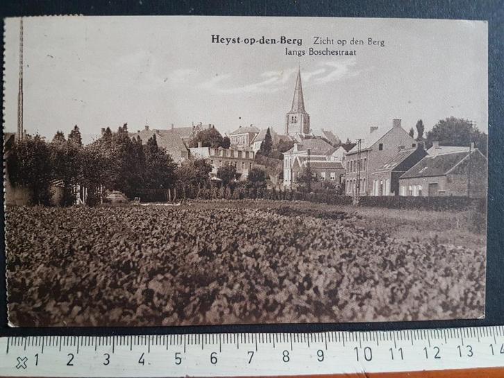 Heyst Heist-op-den-Berg Zicht op den Berg Boschestraat, Verzamelen, Postkaarten | België, Gelopen, Antwerpen, 1920 tot 1940, Ophalen of Verzenden
