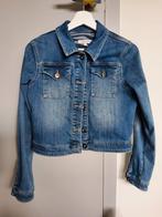 Donker jeans jasje tramontana maat s, Kleding | Dames, Blauw, Tramontana, Ophalen of Verzenden, Zo goed als nieuw