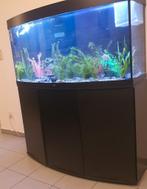 Aquarium, Dieren en Toebehoren, Ophalen, Zo goed als nieuw