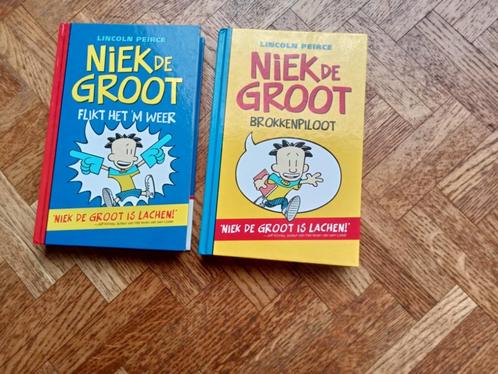 Niek de Groot 2 titels, Boeken, Kinderboeken | Jeugd | 10 tot 12 jaar, Gelezen, Ophalen of Verzenden