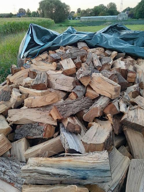 brandhout, Tuin en Terras, Brandhout, 6 m³ of meer, Ophalen