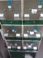 3 heesakkers kweekkooien met onderkast, Dieren en Toebehoren, Ophalen, Gebruikt, Kunststof, Broedkooi of Kweekkooi