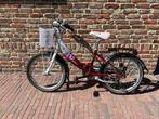 Meisjesfiets 20 inch, Ophalen, Gebruikt, Handrem, 20 inch