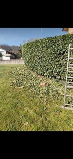 Tuinonderhoud, Tuinonderhoud, Ophalen of Verzenden