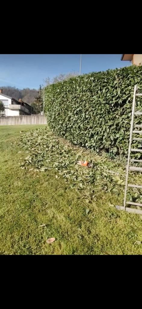 Tuinonderhoud, Tuinonderhoud, Tuin en Terras, Schuttingen, Ophalen of Verzenden
