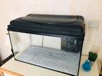 Aquarium 50L, Utilisé, Aquarium vide