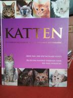 Boeken over kattenrassen en kattenverzorging, Livres, Animaux & Animaux domestiques, Chats, Utilisé, Enlèvement ou Envoi