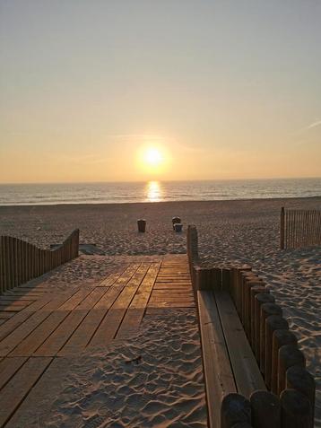 Vakantiewoning aan het strand Portugal Figueira da Foz beschikbaar voor biedingen