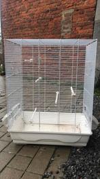 Vogelkooi met 4 voederbakken, Ophalen of Verzenden