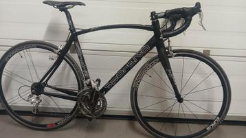 Sportivo koersfiets. beschikbaar voor biedingen