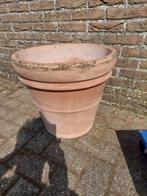 grote terracotta bloempot, Gebruikt, 40 cm of meer, Tuin, Ophalen of Verzenden