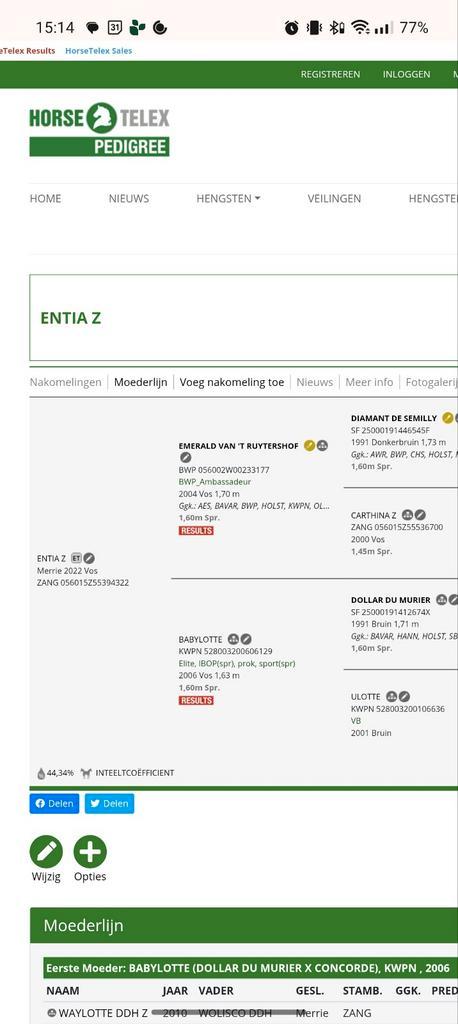 3 jarige merrie met top afstamming!, Dieren en Toebehoren, Paarden, Merrie, 3 tot 6 jaar, Springpaard, Met stamboom, Gechipt, Ontwormd
