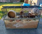 Terrarium of hamsterkooi, Dieren en Toebehoren, Kooi, Gebruikt, Hamster, 75 tot 110 cm