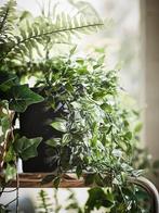 Fejka Kunstmatige potplant | GRATIS LEVERING, Binnen, -, Verzenden, -