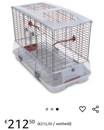 Kooi vogels beschikbaar voor biedingen