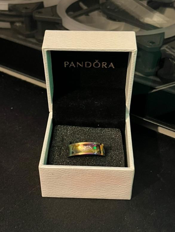 Bagues en Acier Inoxydable (N23), Handtassen en Accessoires, Ringen, Zo goed als nieuw, Ophalen of Verzenden