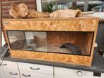 Terrarium, Dieren en Toebehoren, Reptielen en Amfibieën | Toebehoren, Ophalen, Gebruikt, Terrarium of Paludarium