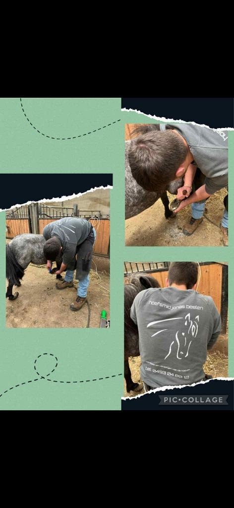 “Hoefsmid – Voor Gezonde & Sterke Paardenhoeven”, Dieren en Toebehoren, Paarden