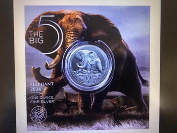 2024 South Africa - Big five elephant - 1 oz silver in blist disponible aux enchères