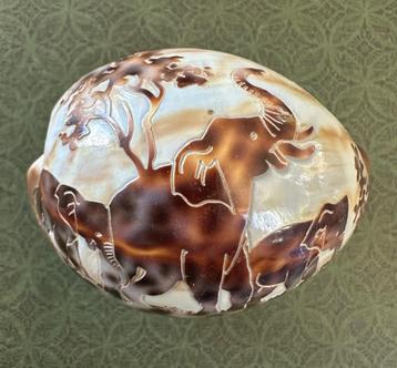 Coquillage gravé avec des éléphants beschikbaar voor biedingen