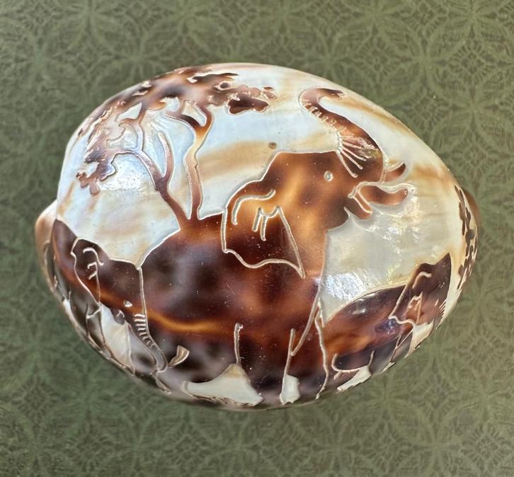 Coquillage gravé avec des éléphants, Verzamelen, Dierenverzamelingen, Zo goed als nieuw, Overige typen, Wild dier, Ophalen of Verzenden