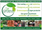 GRONDWERKEN     GROOT  EN   KLEIN, Jardin & Terrasse, Plantes | Arbustes & Haies, Érable, 250 cm ou plus, Envoi, Arbuste
