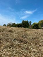 Kleine balen hooi, Zakelijke goederen, Landbouw | Veevoer, Ophalen